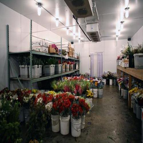 江安鲜花冷库安装工程